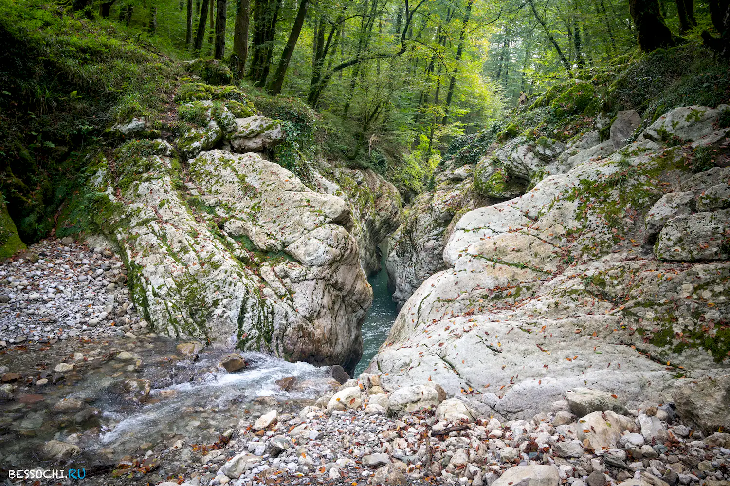 Canyon life. Мокрый каньон Псахо Сочи. Каньон Псахо Сочи. В Адлерском районе каньон. Каньон Псахо в Адлере фото.